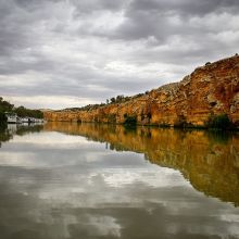 DSC0494